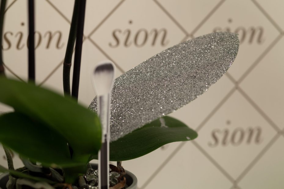 Sion Bubble Deluxe