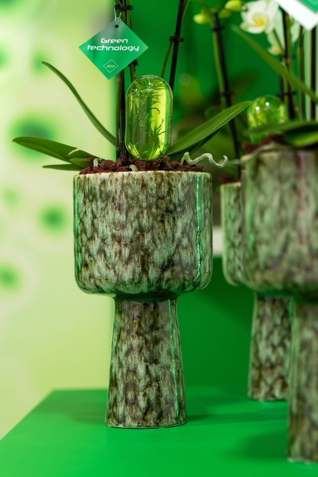 Green Bubble
