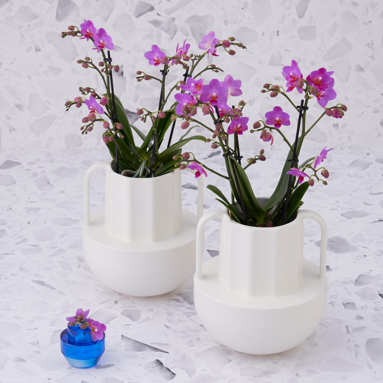 Pink Flamingo